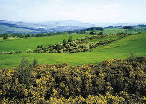 Tima Log Cabin in Borders Scotland