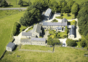 Brimham Oak in North West England