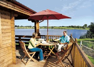 Bulrush Lakeview in North East England