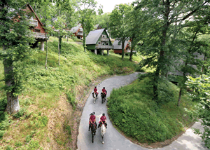 Woodland Premier Lodge Six in South West England