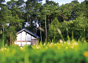 Golden Oak Cottage in North East England