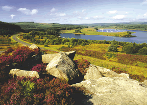 Cheviot Classic in North East England