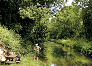 Towpath in South West England