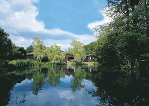 Otter Lodge in South West England