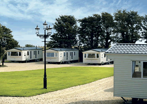 Oak Caravan in East Scotland