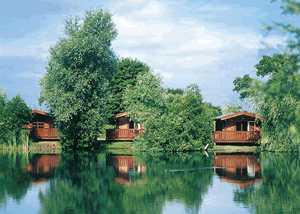 Cedar Deluxe Lodge in East England