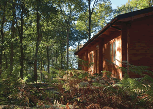 Sycamore Lodge in West England