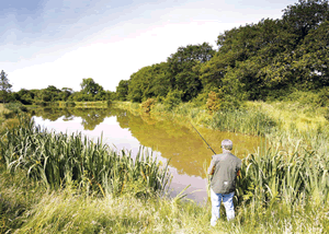 Please note that pictures are of the park as a whole and not necessarily the particular accommodation