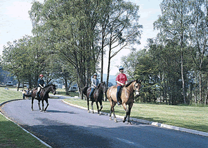 Please note that pictures are of the park as a whole and not necessarily the particular accommodation