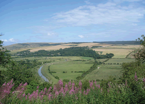 Please note that pictures are of the park as a whole and not necessarily the particular accommodation
