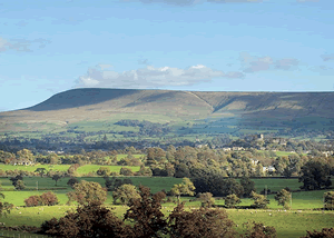 Please note that pictures are of the park as a whole and not necessarily the particular accommodation