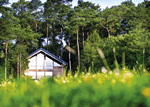 Golden Oak Cottage in North East England