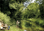 Towpath in South West England