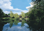 Beaver Lodge in South West England