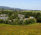 Peppermint Park in South West England