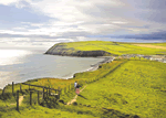 Seacote Puffin in North West England