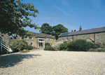 Brimham Oak in North West England