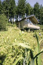 Golden Oak Treehouse in South West England