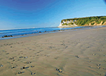 Ventnor Chalet 4 in South East England